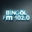 Bingöl FM