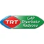 TRT Gap Diyarbakir Radio