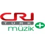 CRI Turk Musik Plus