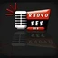 Radyo Ses Eskisehir